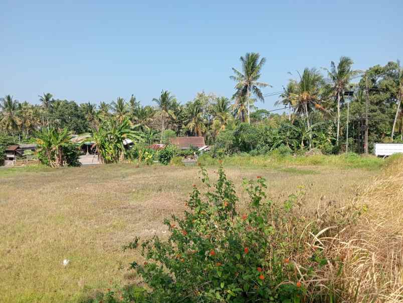 dijual tanah lalanglinggah selemadeg
