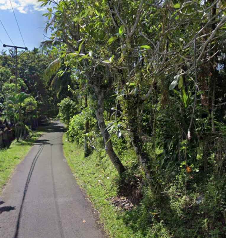 dijual tanah lalanglinggah tabanan bali