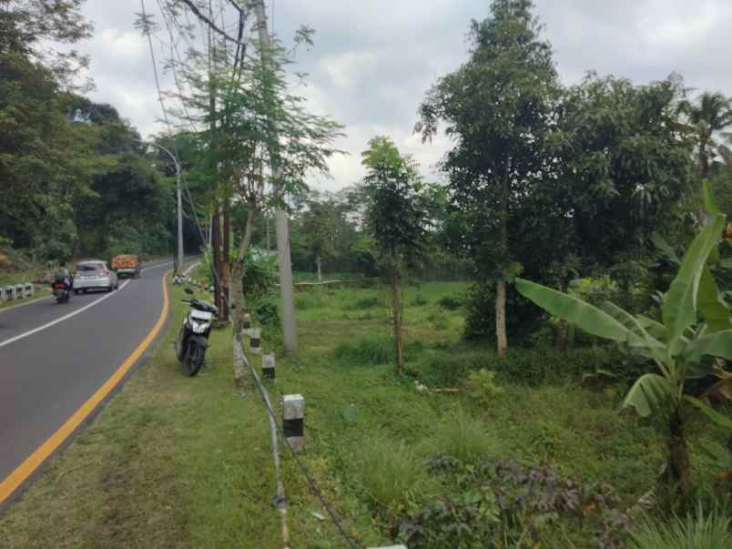 dijual tanah mandirancan kab kuningan