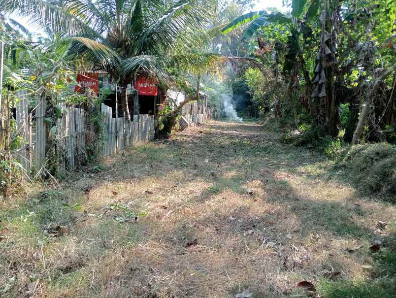 dijual tanah medewi kec pekutatan kab