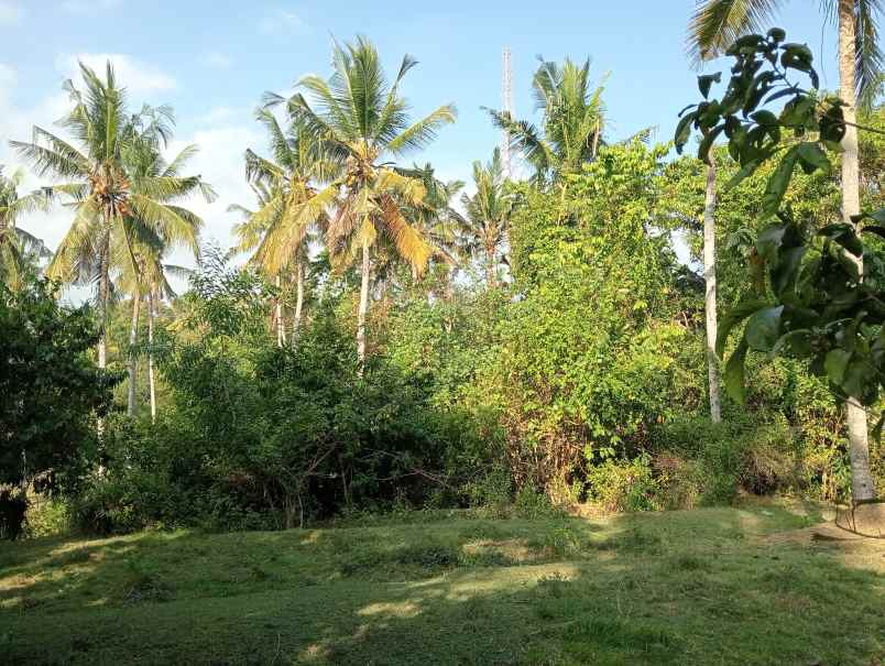 dijual tanah medewi kec pekutatan kab