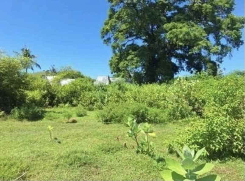 dijual tanah mertak lombok