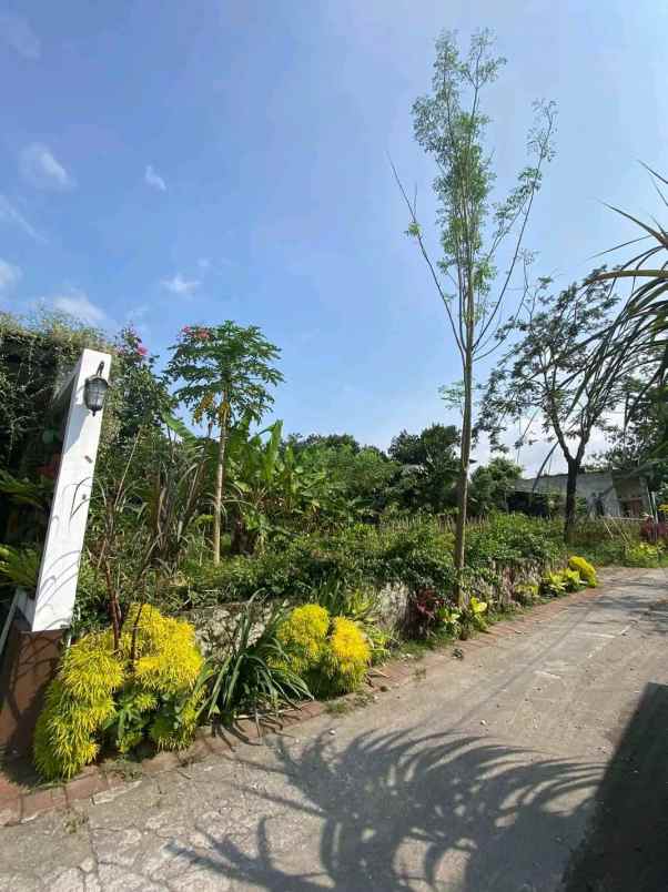 dijual tanah mlati