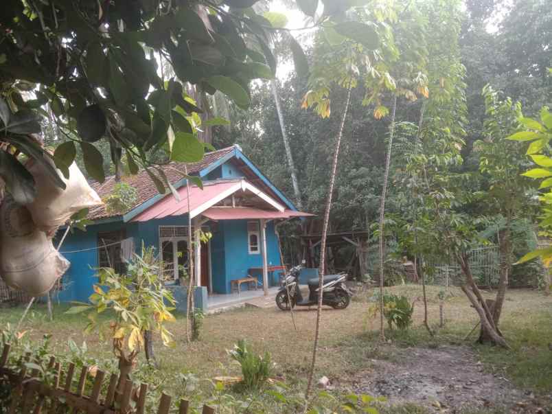 dijual tanah murah lokasi strategis harga nego