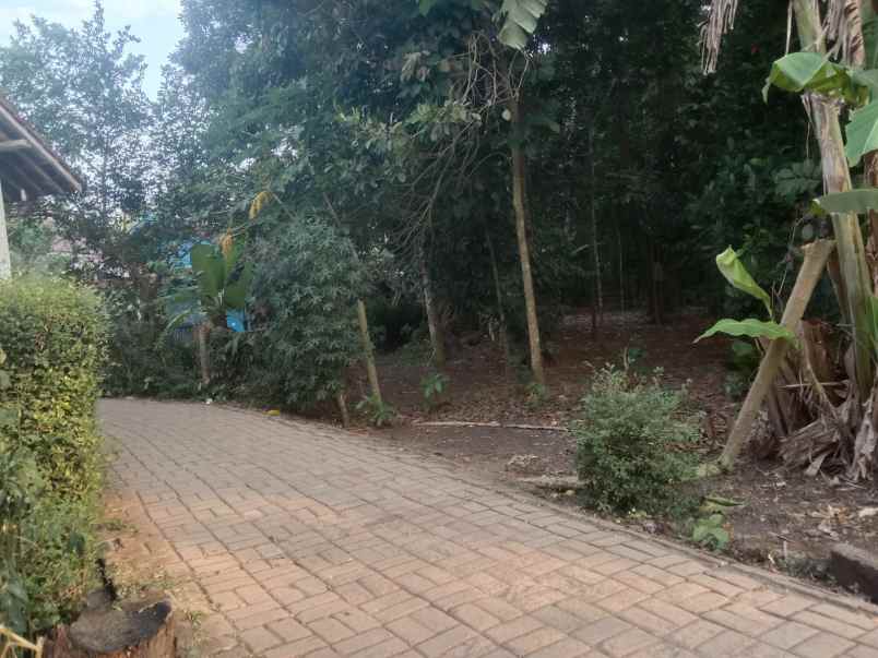 dijual tanah murah lokasi strategis harga nego