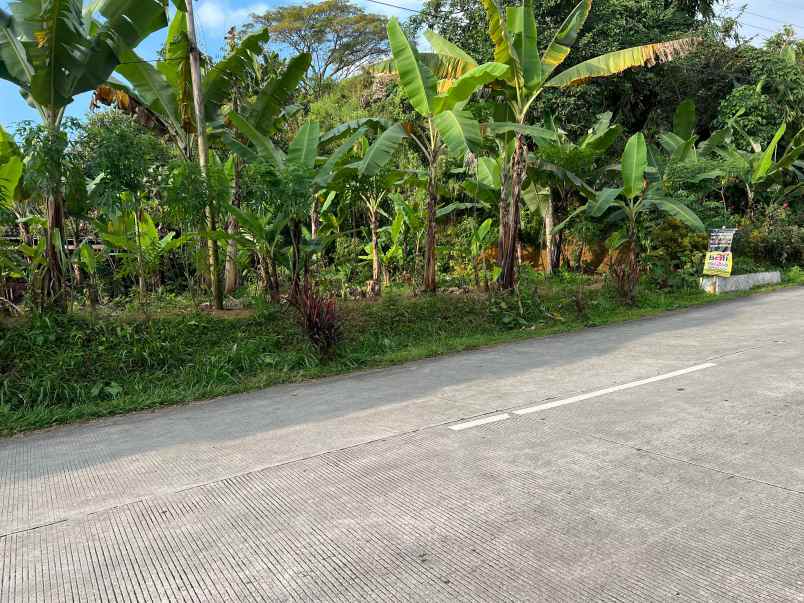 dijual tanah ngargoyoso karanganyar