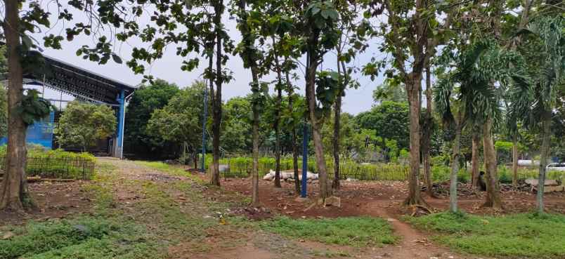 dijual tanah pabuaran gunung sindur bogor