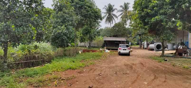 dijual tanah pabuaran gunung sindur bogor