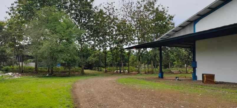 dijual tanah pabuaran gunung sindur bogor