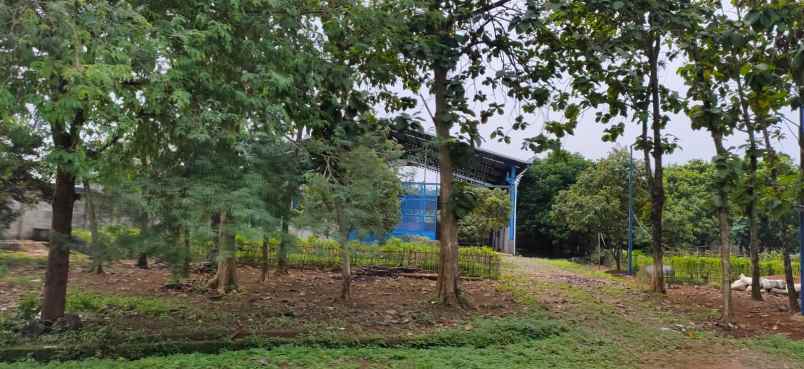 dijual tanah pabuaran gunung sindur bogor
