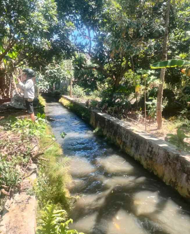 dijual tanah paseban