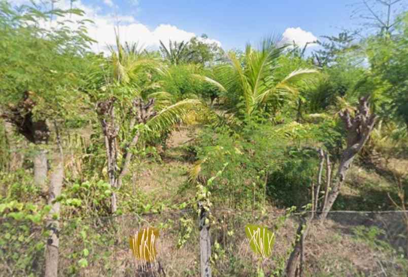 dijual tanah pemuteran buleleng bali