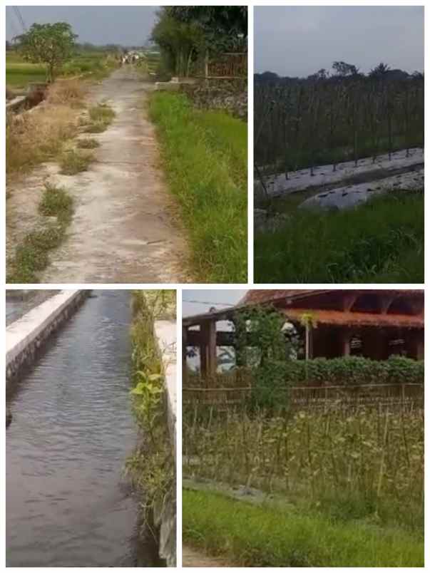 dijual tanah polanharjo klaten