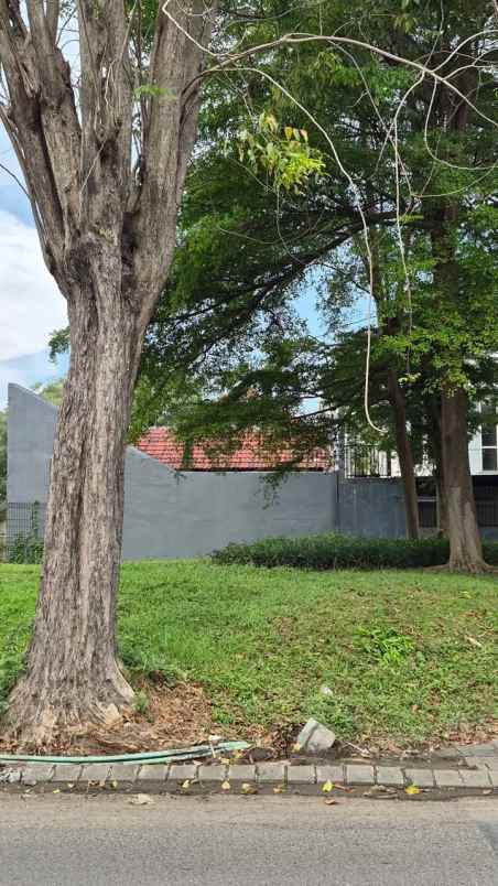 dijual tanah raya bukit palma citraland