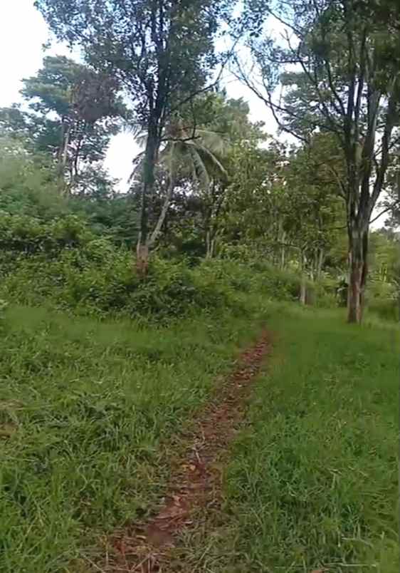 dijual tanah raya jatinangor