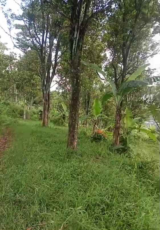 dijual tanah raya jatinangor