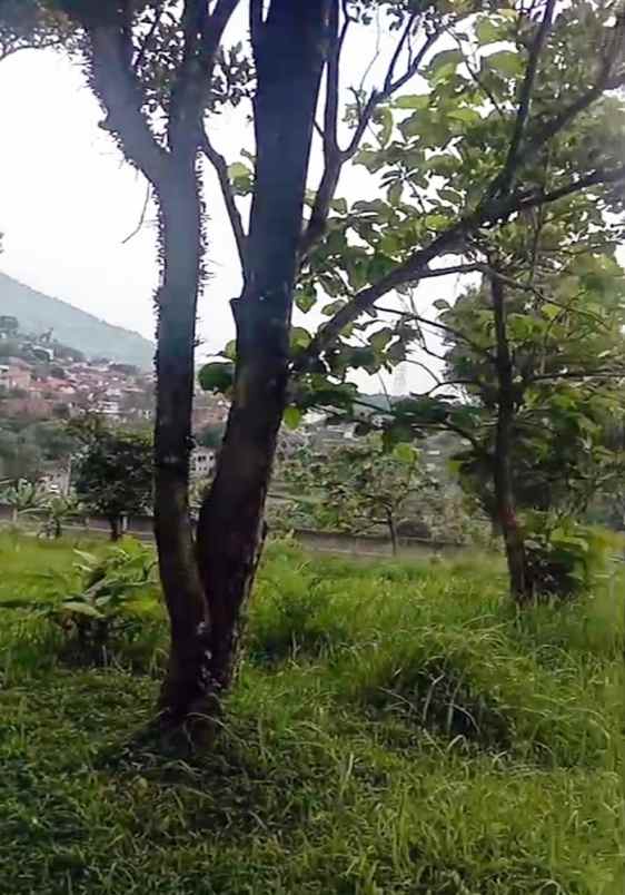 dijual tanah raya jatinangor