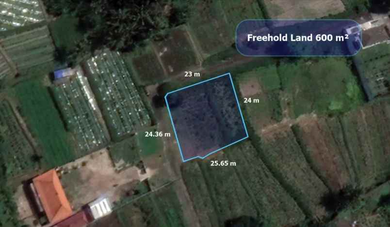 dijual tanah saba gianyar