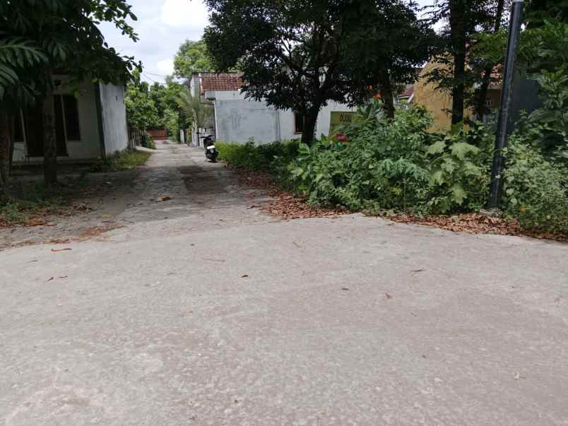 dijual tanah sd model