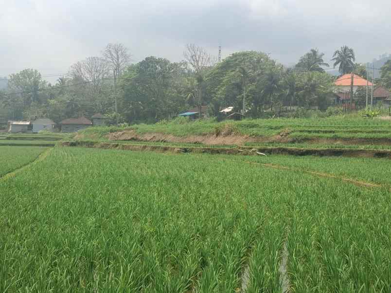 dijual tanah selabih desa lalanglinggah