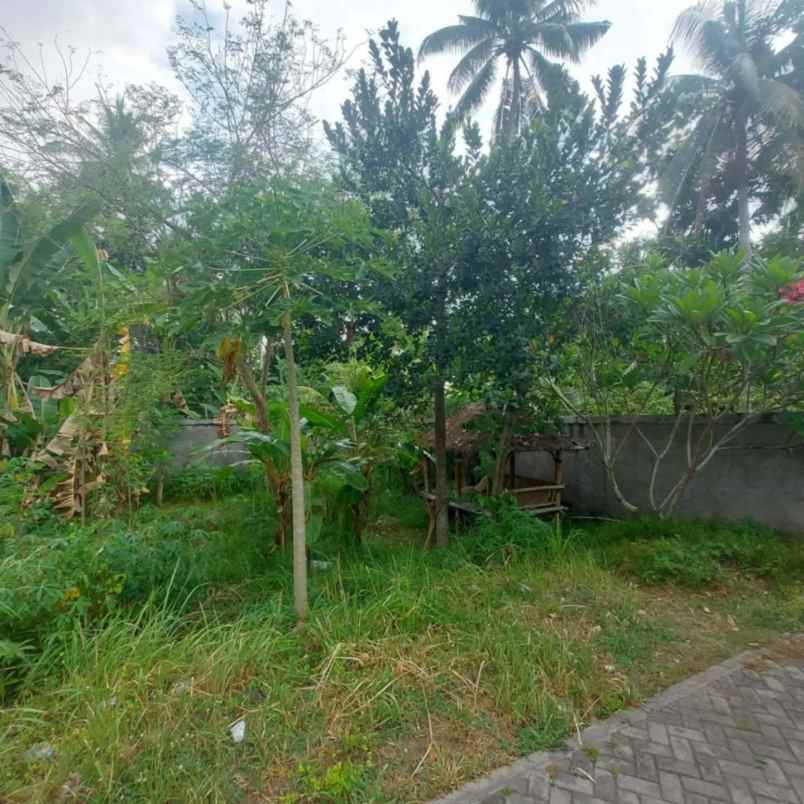 dijual tanah shm kavling meninting bintaro mataram ntb