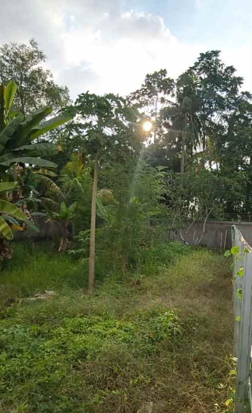 dijual tanah shm kavling meninting bintaro mataram ntb