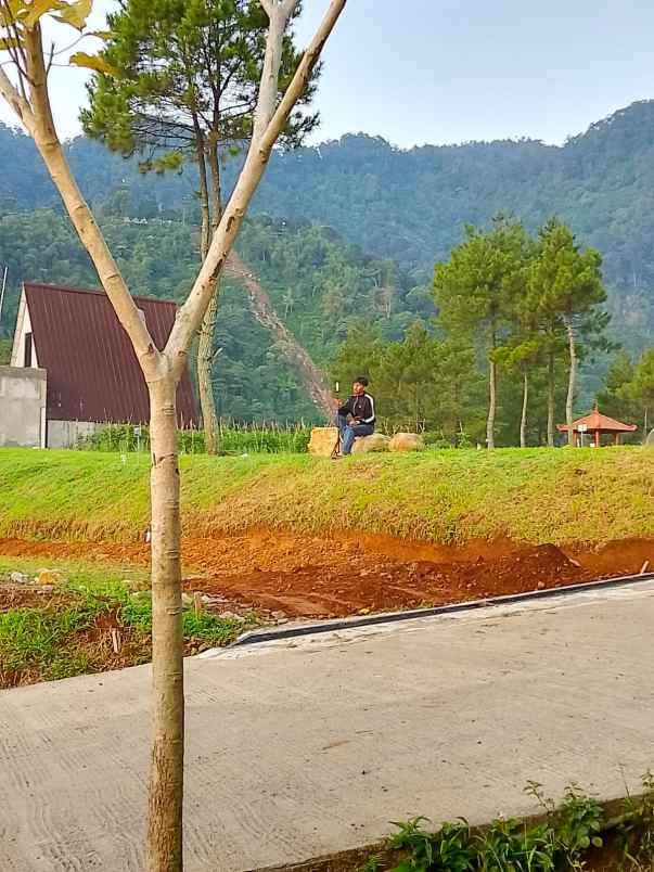 dijual tanah shm murah di ciawi puncak bogor