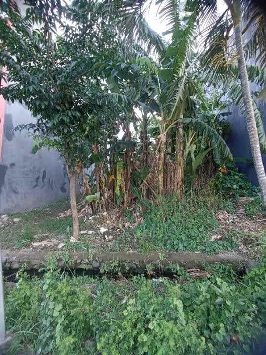 dijual tanah sidosermo