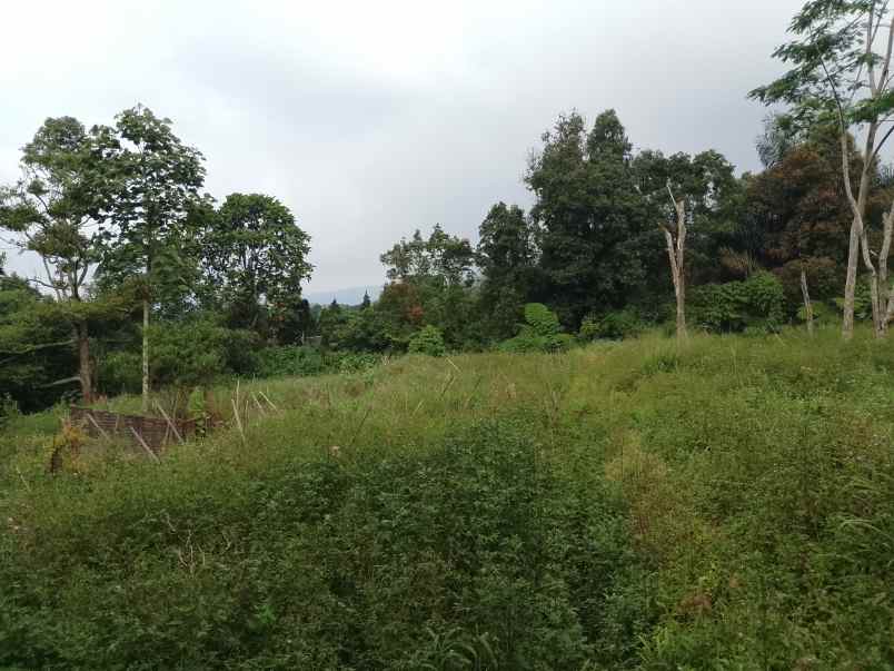 dijual tanah subang
