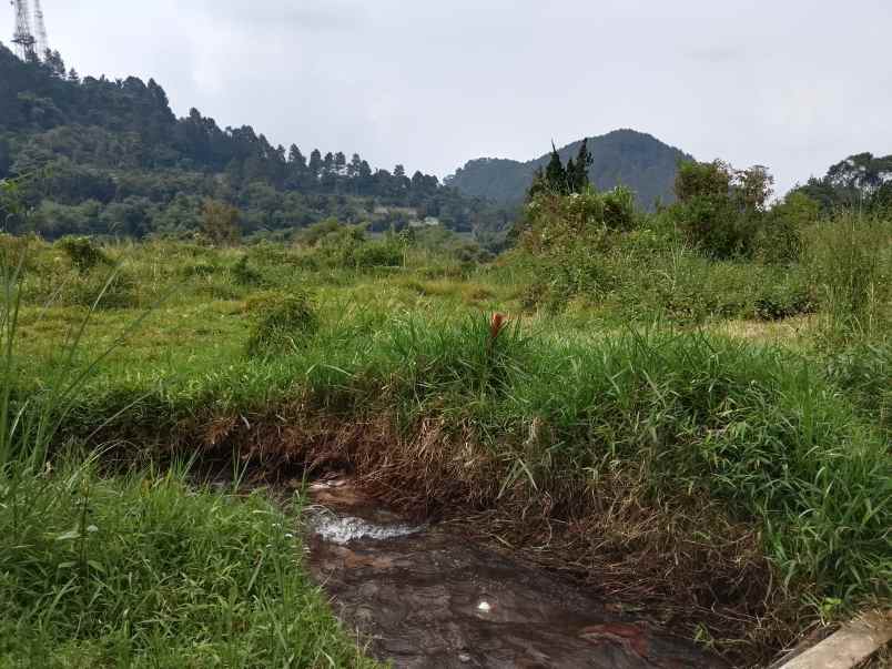 dijual tanah subang