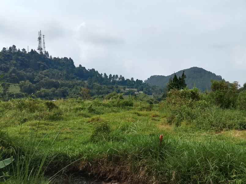 dijual tanah subang