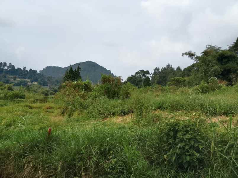 dijual tanah subang