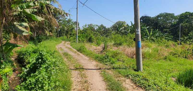 dijual tanah tabanan bali