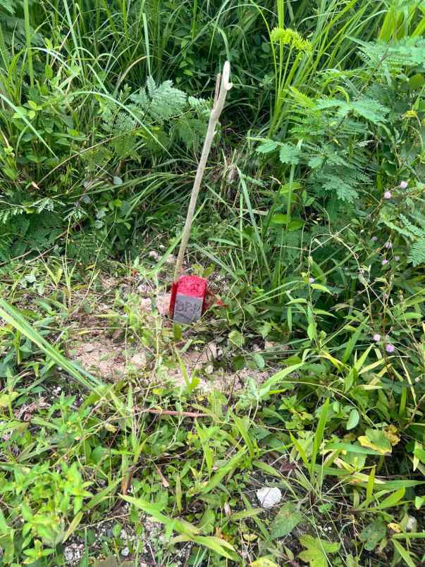 dijual tanah tabanan bali