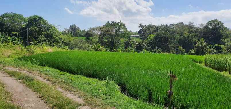 dijual tanah tabanan bali