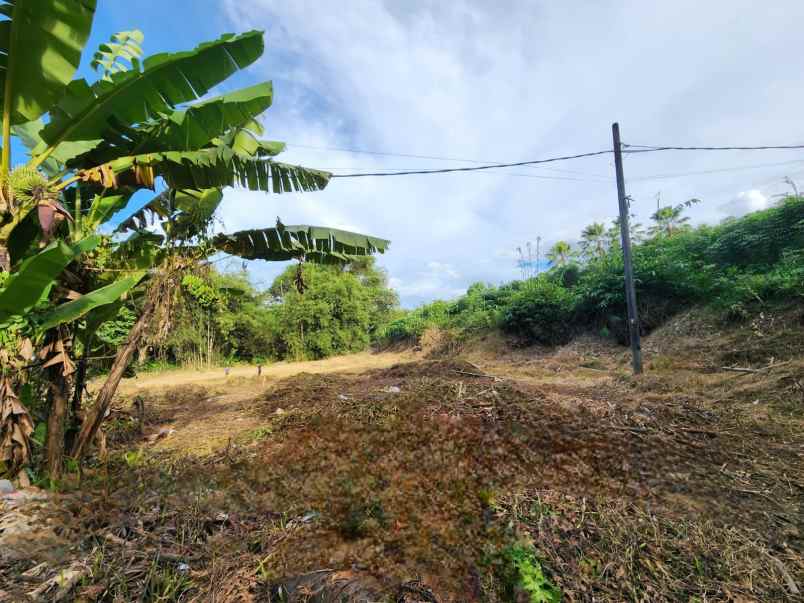 dijual tanah tegalan kering berupa kebun bantarkambing