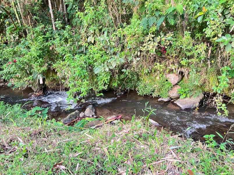 dijual tanah timur isykarima