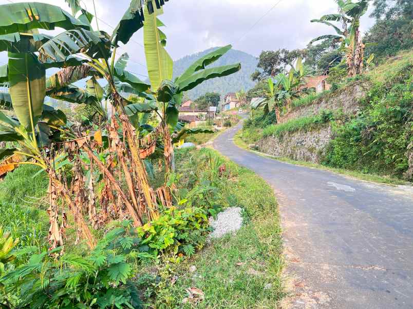 dijual tanah timur isykarima