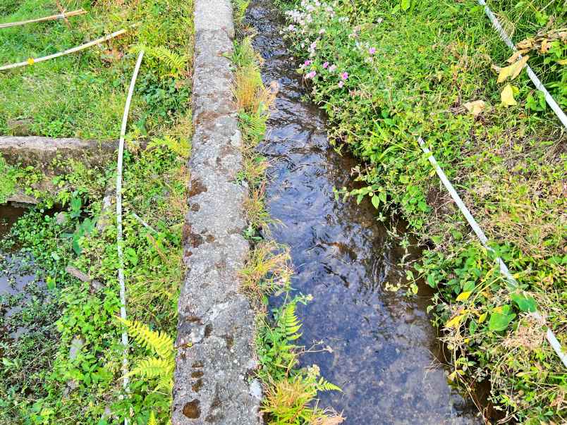 dijual tanah timur isykarima