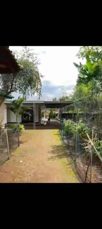 dijual villa sukawangi