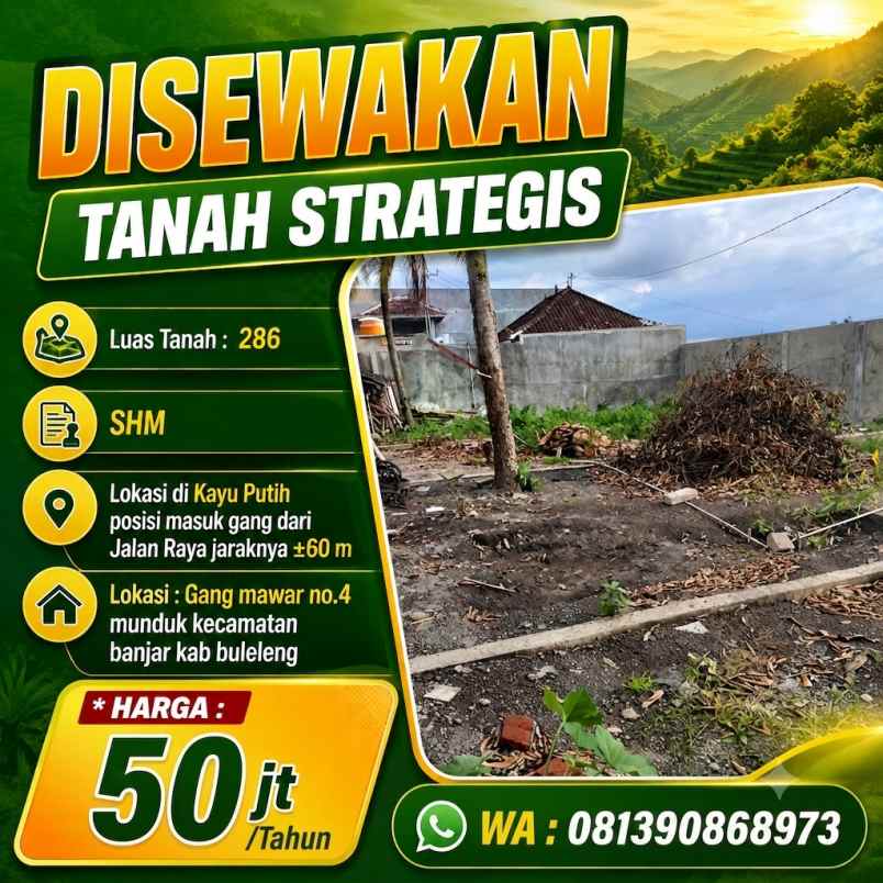 disewakan tanah gang mawar no 4 munduk kec