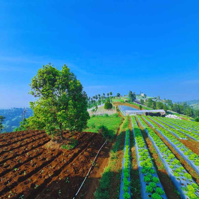 jual kavling villa view indah di bandung