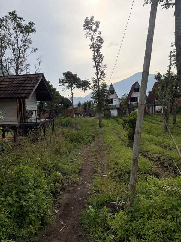 jual tanah kosongan di sembalun