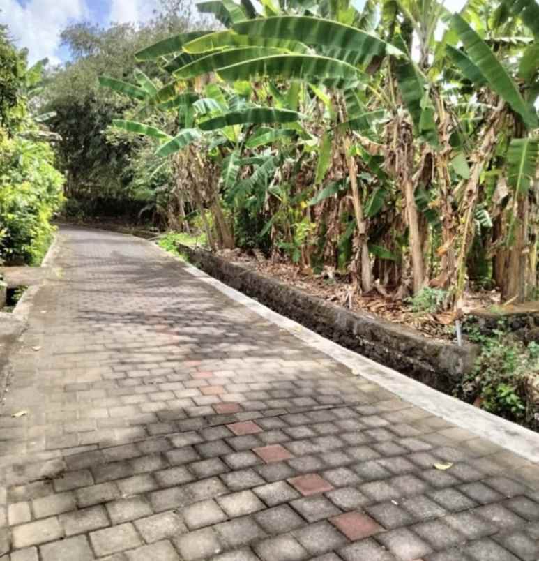jual tanah luas di jalan raya tanah lot tabanan bali