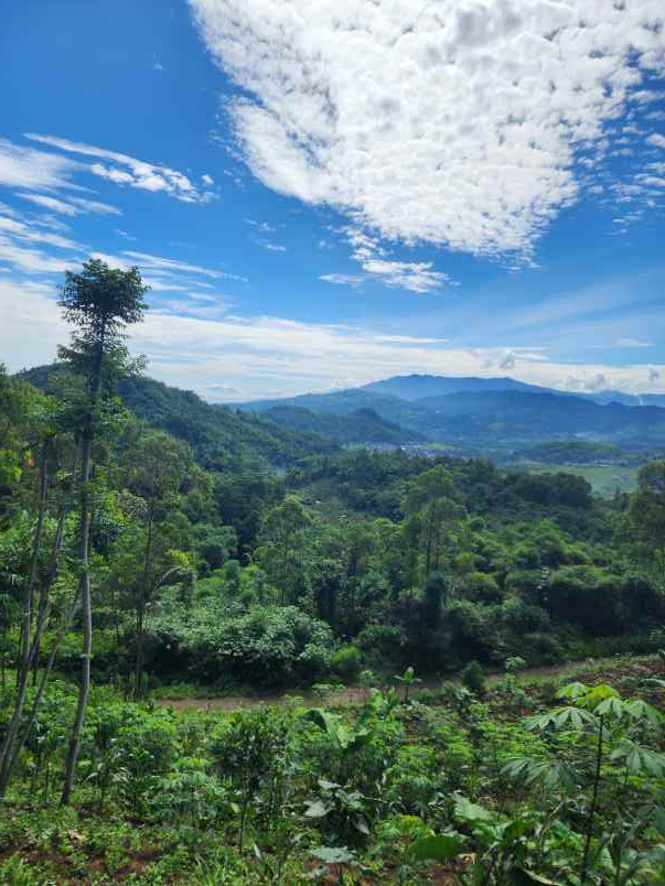 jual tanah murah ciwidey bu