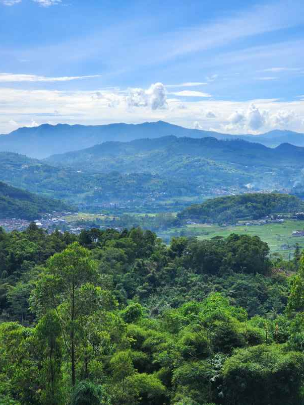 jual tanah murah ciwidey bu