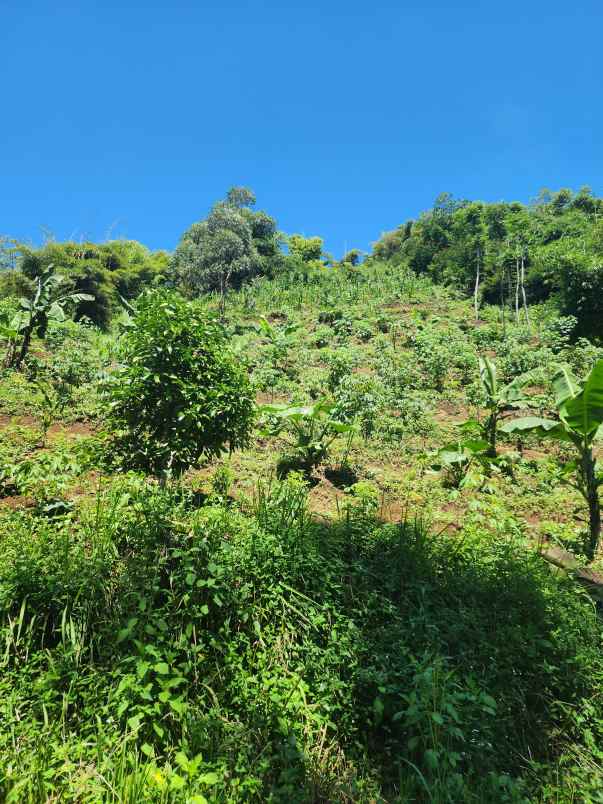 jual tanah murah ciwidey bu