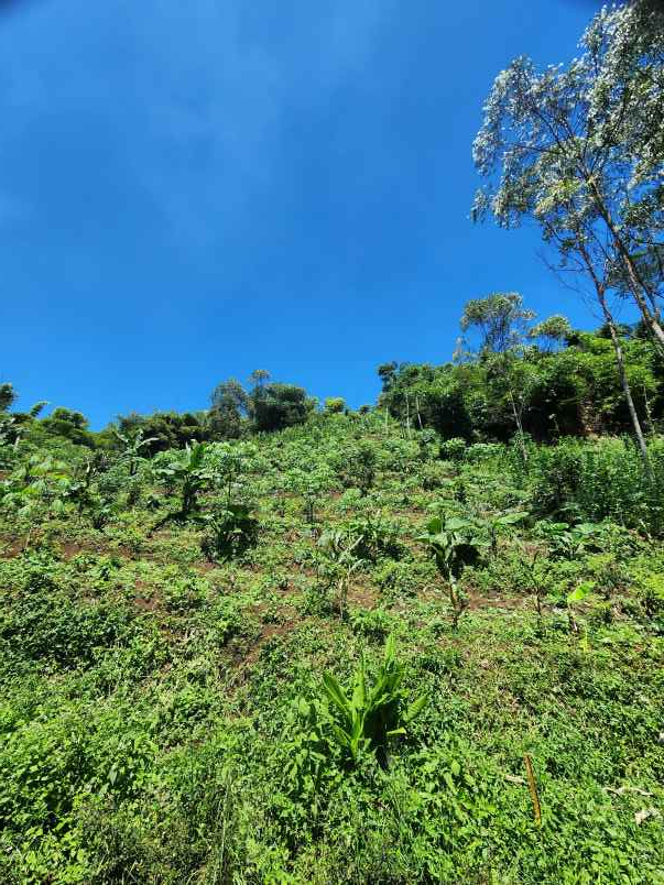 jual tanah murah ciwidey bu