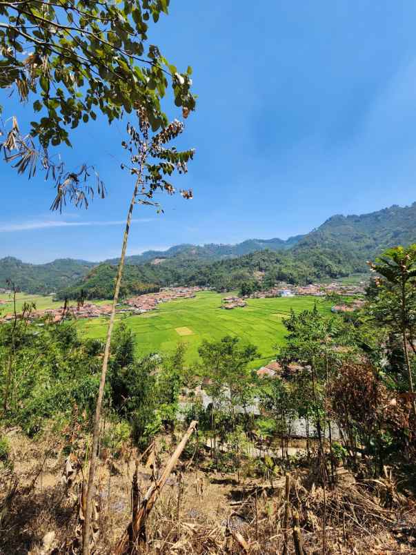 jual tanah murah ciwidey bu