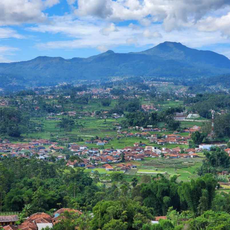 jual tanah murah di ciwidey